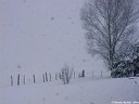 Épisode neigeux du 28 février 2004 à Larribar: neige à gros flocons