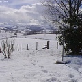 Épisode neigeux du 28 février 2004: il sera tombé entre 15 à 20 cm de neige par endroit au Pays basque intérieur...