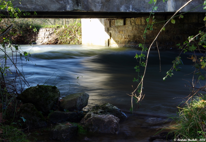 Ruisseau sous le pont