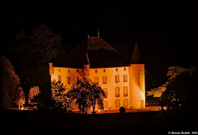 Le Château d'Etchauz